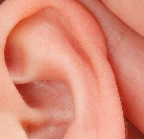 Bone disease medications may reverse hearing loss