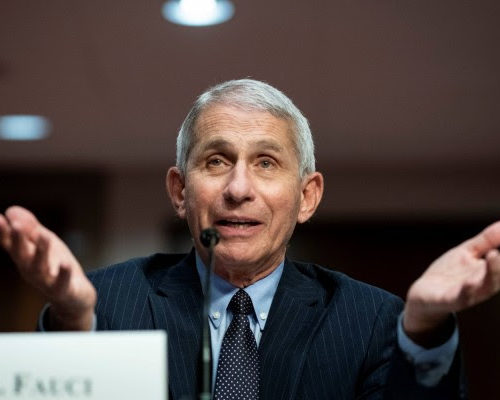 US Coronavirus Status is “Really Not Good” As Country Remains On “Knee-Deep” in First Wave of Cases, Fauci Warns