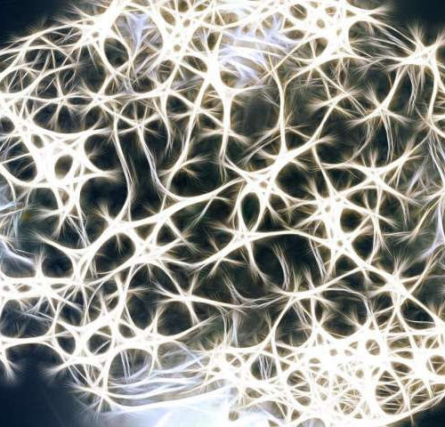 Discovery of new step in how brain cells work could lead to new therapies for epilepsy