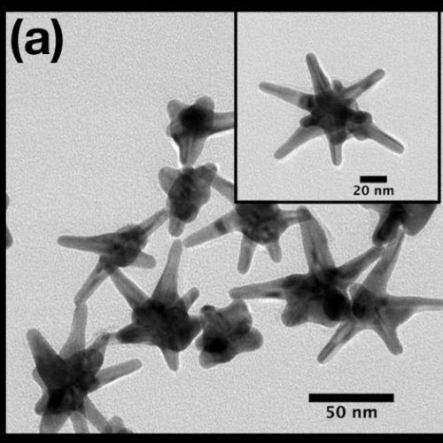 Silver-plated gold nanostars detect early cancer biomarkers