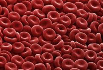 Scientists work to freeze-dry synthetic platelets