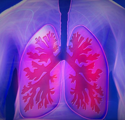 Stem Cell Exhaustion in the Aging Lung