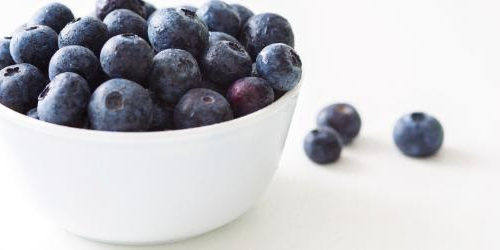 Consumption of a blueberry enriched diet by women for six weeks alters determinants of human muscle progenitor cell function