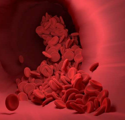 Scientists develop synthetic blood-thinner that doesn’t cause bleeding side-effects