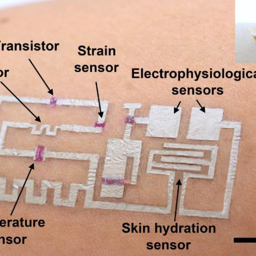 ‘Drawn-on-skin’ electronics offer breakthrough in wearable monitors