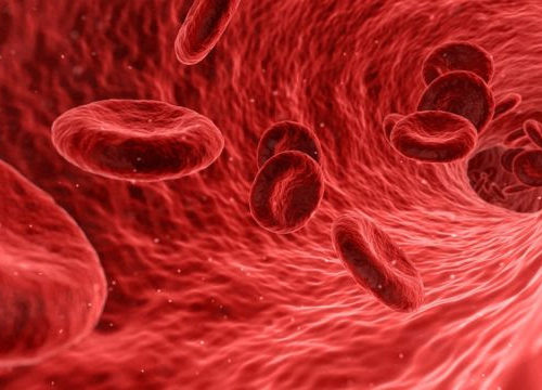 Small particles in the blood can reveal early-stage cancer