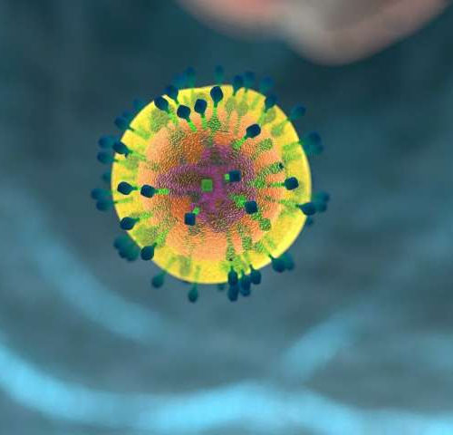 Severe viral infection overwhelms immune cells