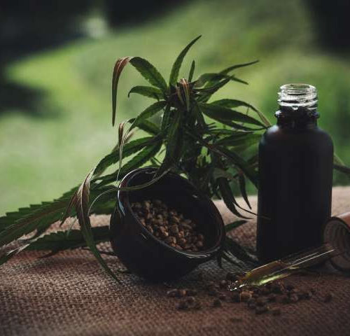 Researchers reveal how THC may treat acute respiratory distress syndrome