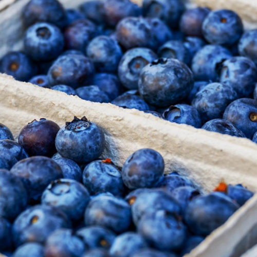 Berry good news — new compound from blueberries could treat inflammatory disorders