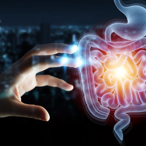 New Microbiome Health Index provides a “credit score for your gut”