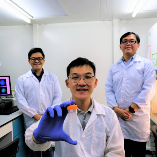 NTU Singapore scientists devise ‘Trojan horse’ approach to kill cancer cells without using drugs