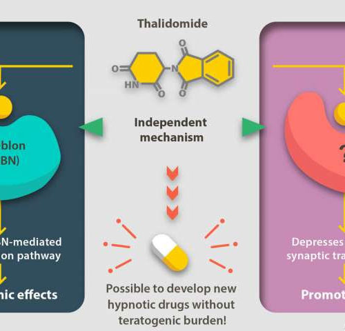 Don’t sleep on the hypnotic potential of thalidomide