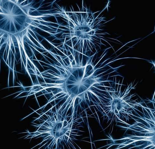 Researchers discover new path to neuron regeneration after spinal cord injury