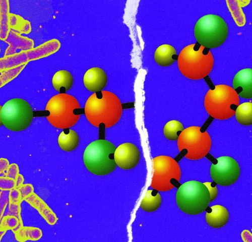 Making tuberculosis more susceptible to antibiotics