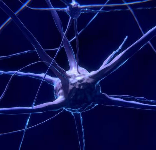 New mechanism affecting nerve impulses discovered
