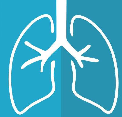 Researchers identify ‘druggable’ signaling pathway that stimulates lung tissue repair