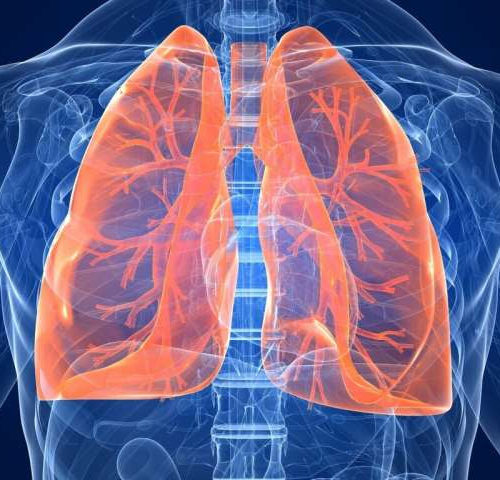 Stopping lethal lung damage from the flu with a natural human protein