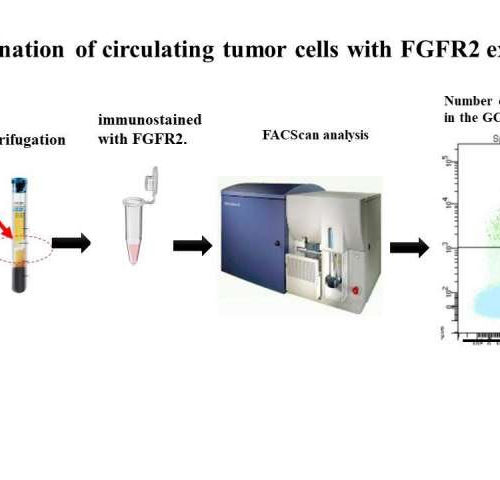 Cutting cancer off at the head