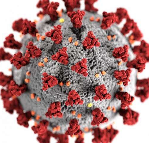 Drug repurposing: Researchers find existing medications may fight coronavirus infection