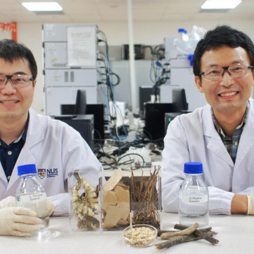 NUS researchers develop novel process that turns waste into nutritional supplements