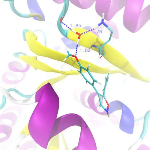 HSE Faculty of Chemistry scientists discovered new anti-cancer molecule