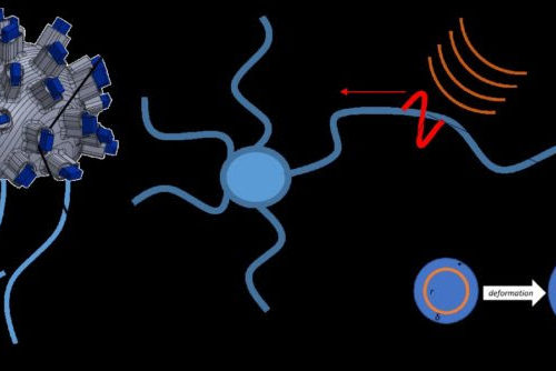 Mathematical modeling of electro-mechanical processes in neurons to assist the treatment of epilepsy and chronic depression by focused ultrasound