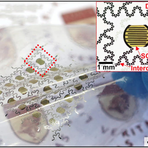 Implantable Biodegradable Sensor Measures Gases Inside The Body