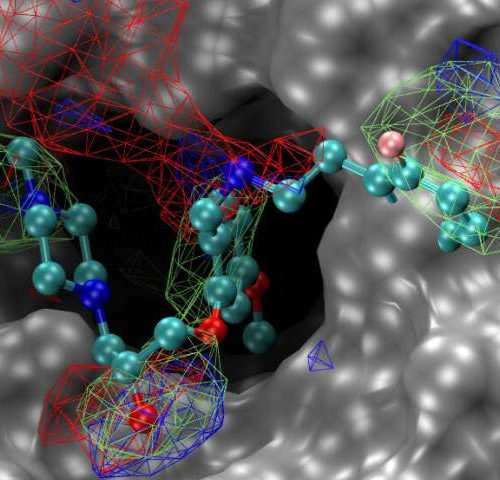 Researchers identify promising new compounds to potentially treat novel coronaviruses