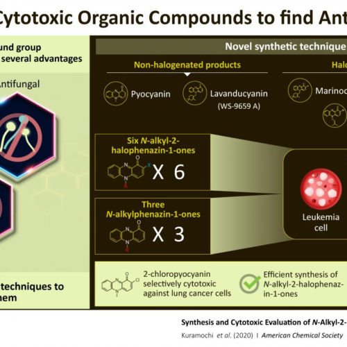 Killing cancer naturally: New process to produce compounds with anti-cancer properties