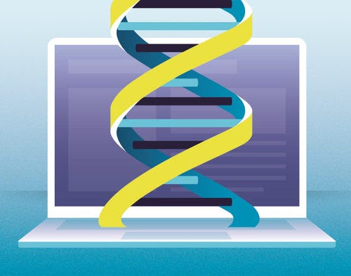 Whole-Genome Synthesis Will Transform Cell Engineering