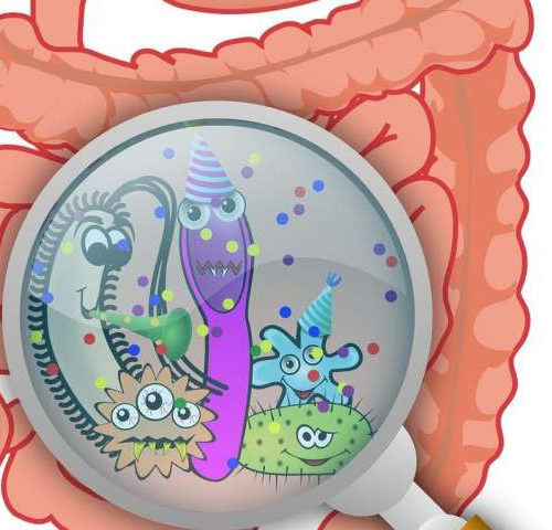 Gut microbiome link to deadly chronic obstructive pulmonary disease