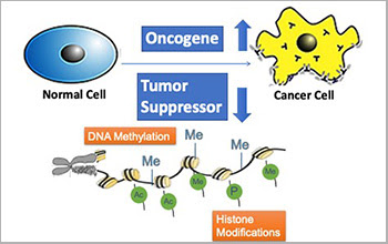 New prediction algorithm identifies previously undetected cancer driver genes