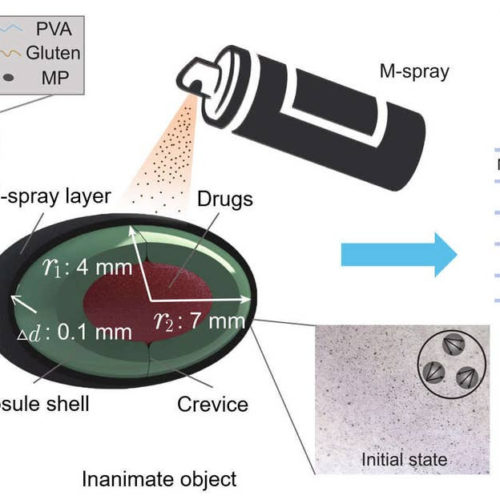 AMAZING MAGNETIC SPRAY TURNS TINY INANIMATE OBJECTS INTO INSECT-SCALE ROBOTS