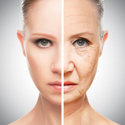 Researchers Solve Anti-aging Mystery – Identify Gene Responsible for Cellular Aging