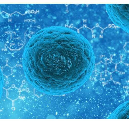 Research dispels fears human stem cells contain cancer-causing mutations