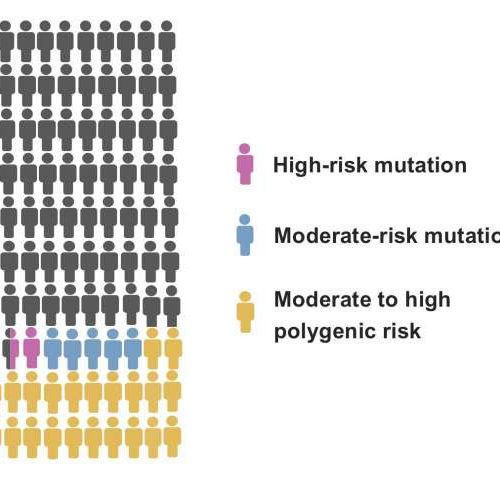 Novel genomic tools increase the accuracy of breast cancer risk assessment