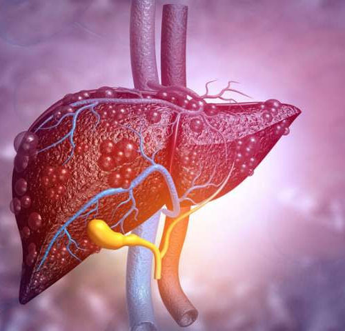 Sensor can detect scarred or fatty liver tissue