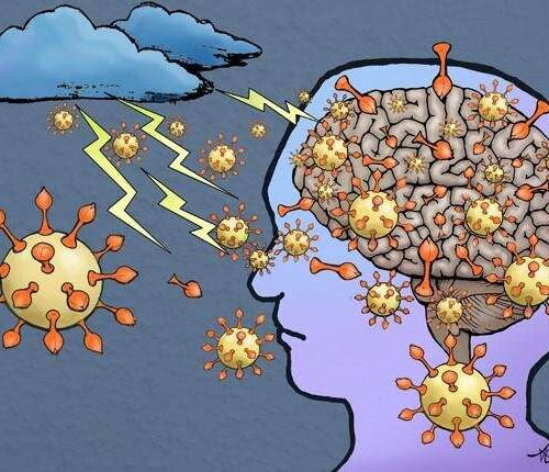 Research strongly suggests COVID-19 virus enters the brain