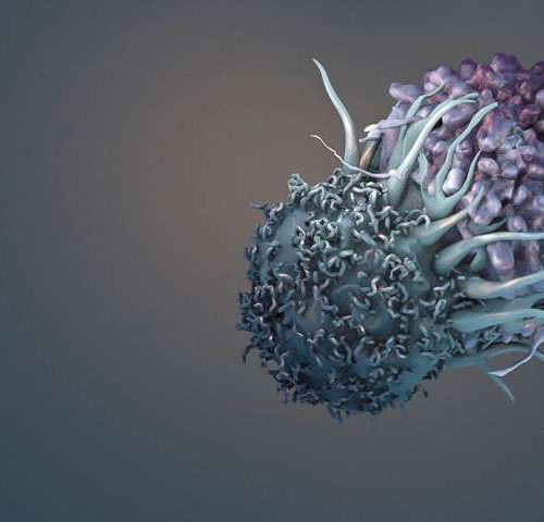 Computing empowers immune cells to kill cancer