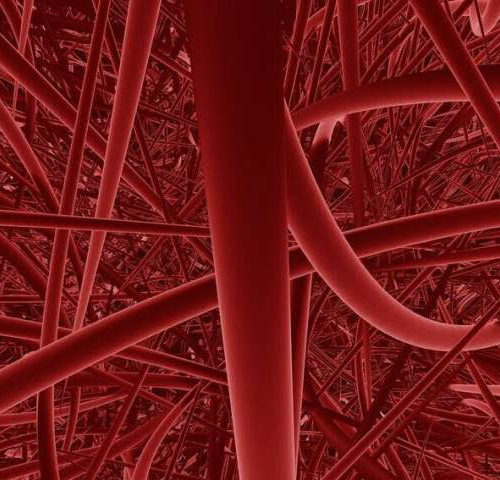 Enzyme discovery can help rein in blood vessels that fuel cancer