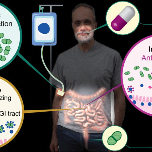 ‘Anti-antibiotic’ allows for use of antibiotics without driving resistance