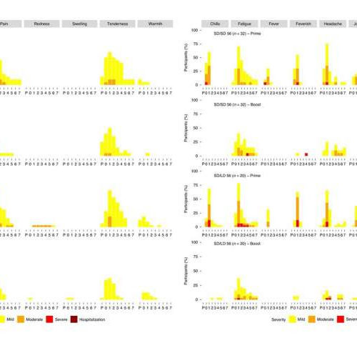 Oxford vaccine stimulates broad antibody and T cell functions