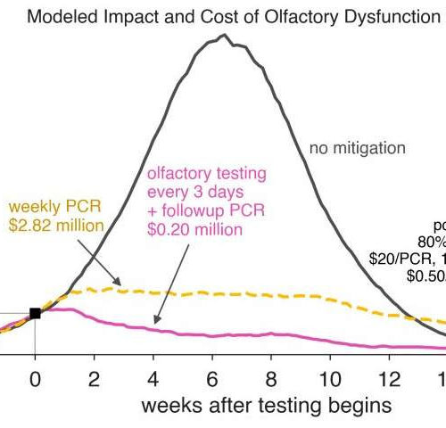 How a simple smell test could curb COVID-19 and help reopen the economy
