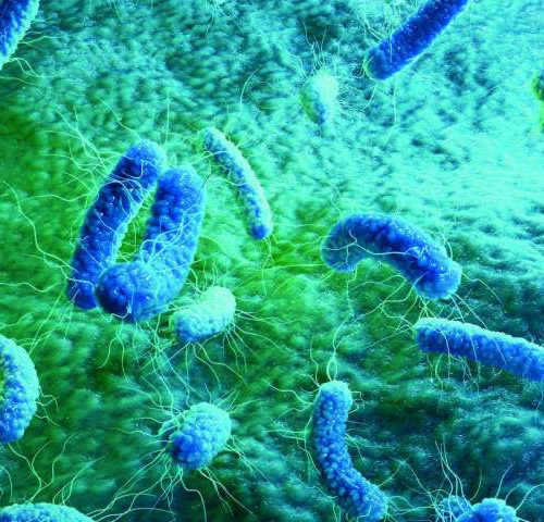 Research team reports new class of antibiotics active against a wide range of bacteria