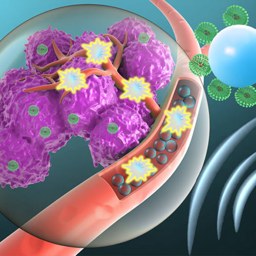 Microbubbles Deliver Drugs Directly to Tumors