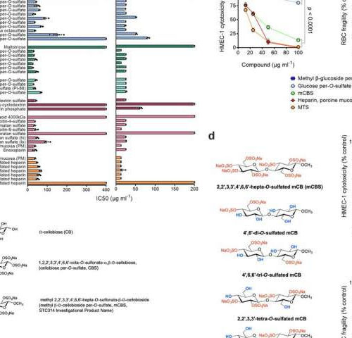 New drug to combat global killer sepsis