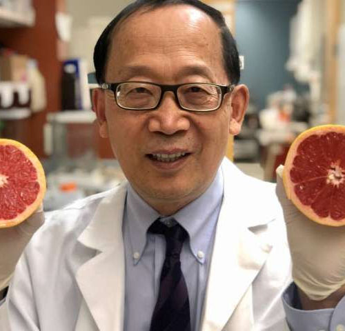 Researcher uses fruit for less toxic drug delivery