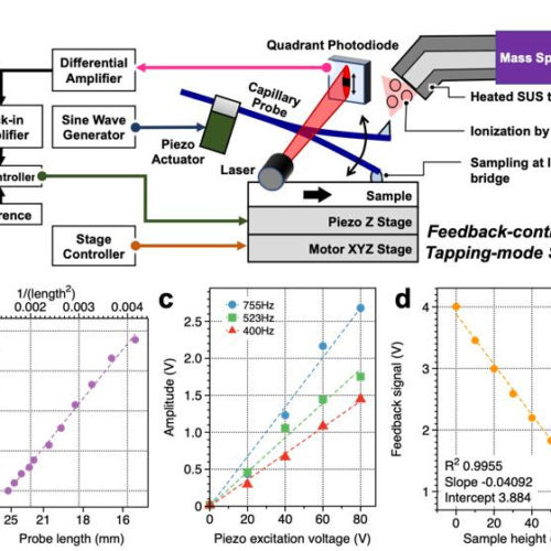 Want to diagnose brain diseases? A mass spectrometry imaging may one day help you