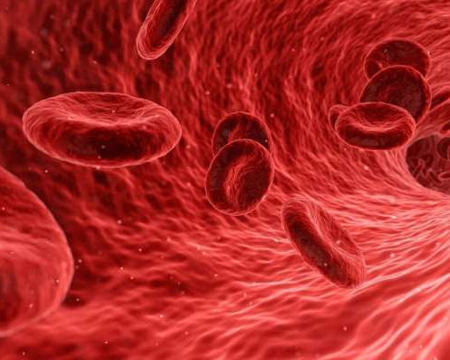 A new strategy for making blood stem cells healthier