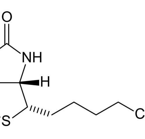 Biotin, mitochondria, and dementia: Research reveals a connection